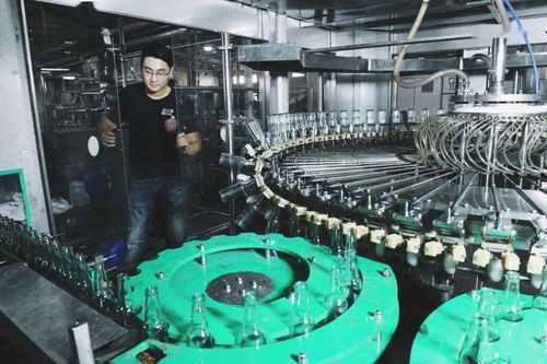 奉賢三寶煥新篇 火山荔枝、黃桃與桂花酒釀的汽水電商之旅