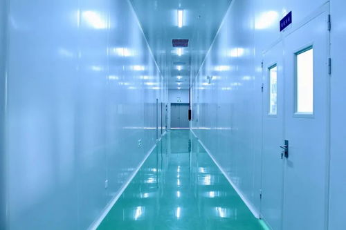 科技賦能 銀離子抗菌技術(shù)如何提升運(yùn)動(dòng)品牌競(jìng)爭(zhēng)力